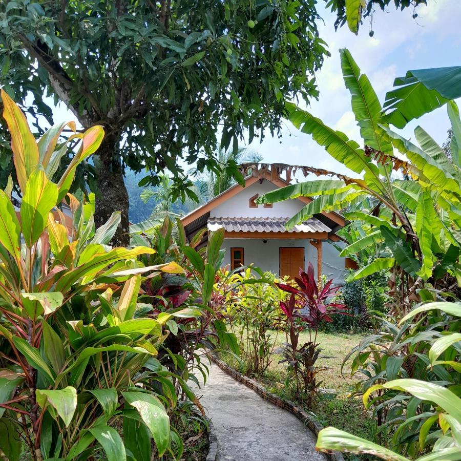 Khaolak Banana Bungalow เขาหลัก ภายนอก รูปภาพ
