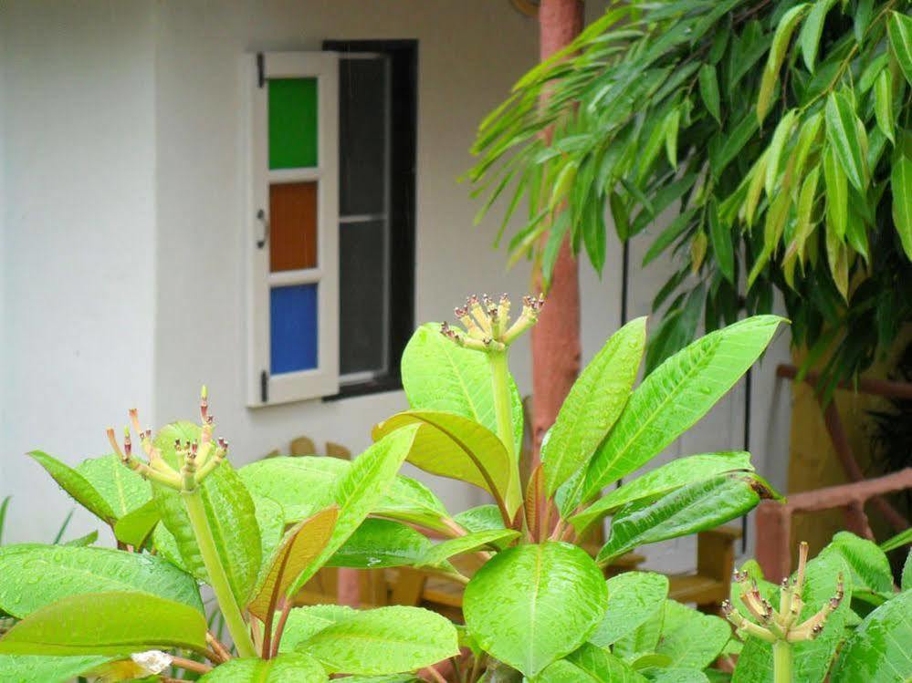 Khaolak Banana Bungalow เขาหลัก ภายนอก รูปภาพ